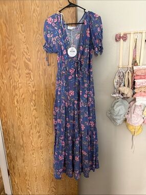 Petal & Pup Blue Floral Maxi Dress with Pink Blooms